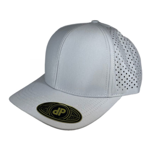 The Light Gray Sportsman